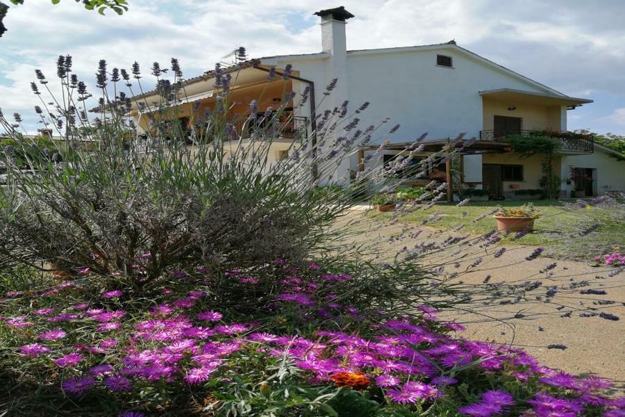 Apartment Norina Grožnjan المظهر الخارجي الصورة